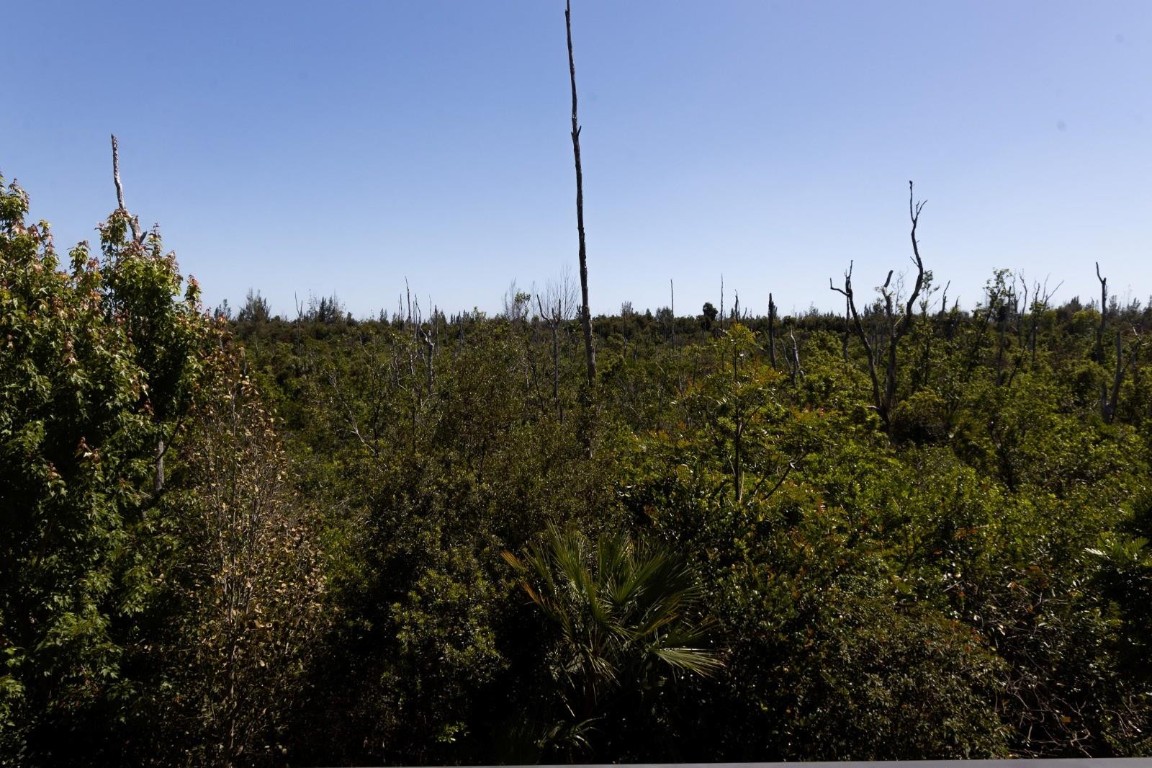 8015 NW 104th Ave 24