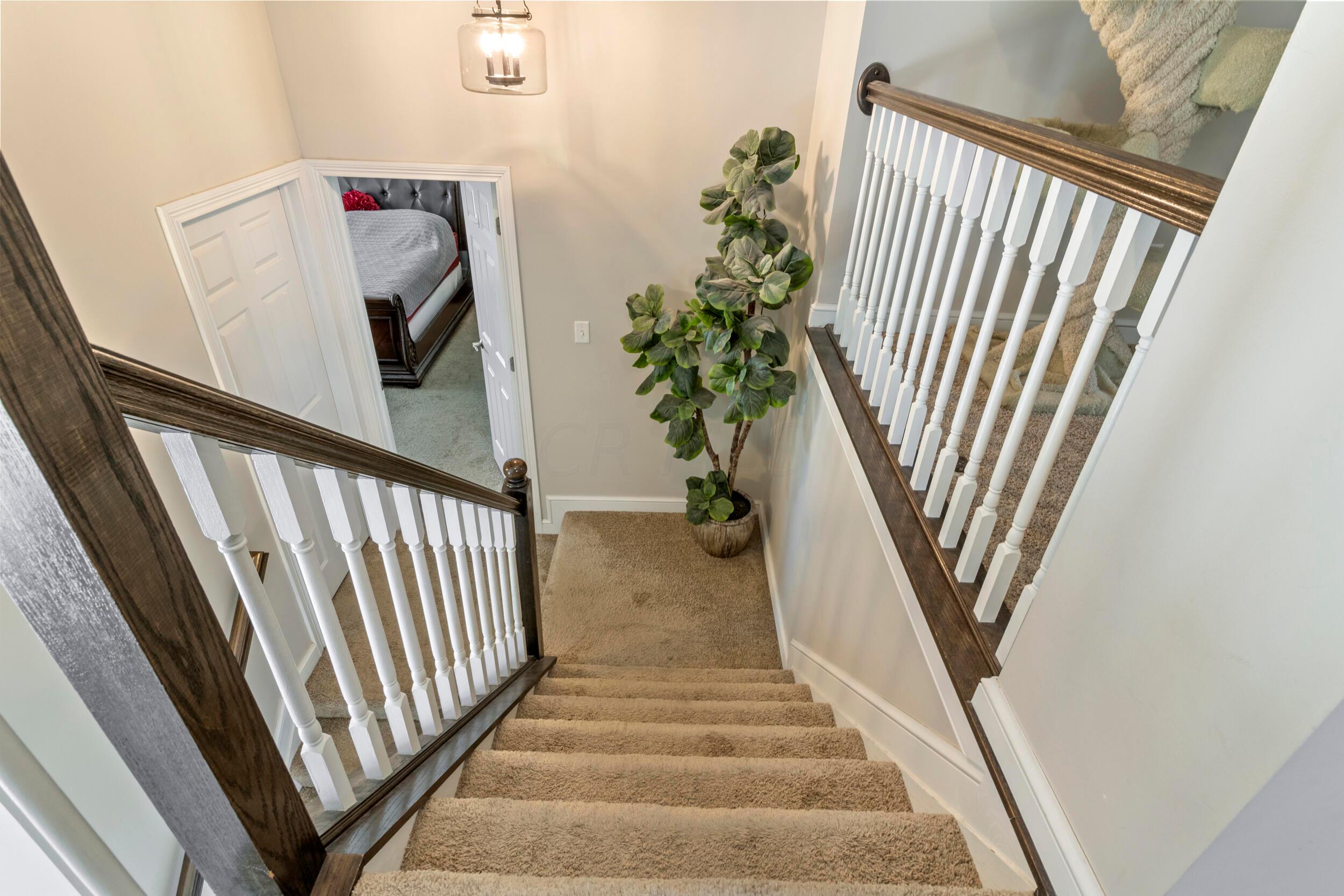 4691 Greyson Drive