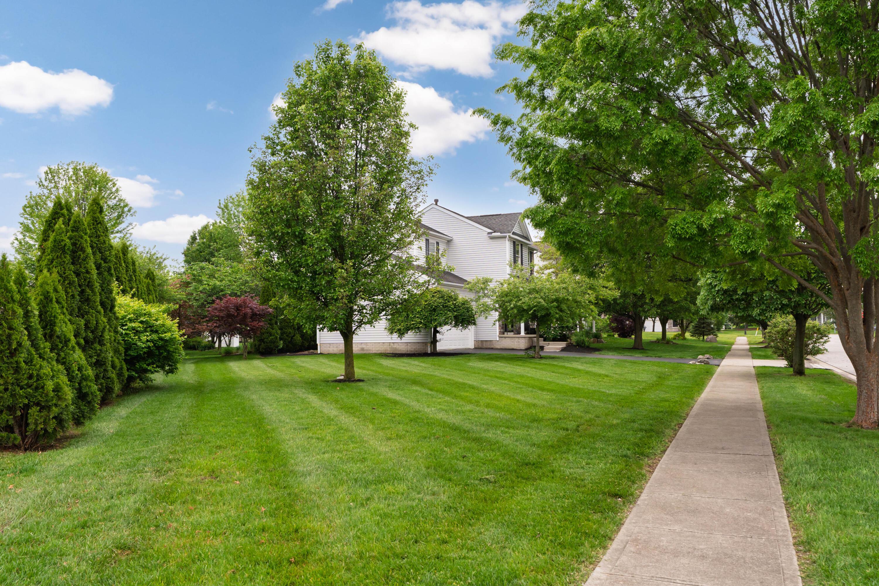 3941 Nordman Fir Drive