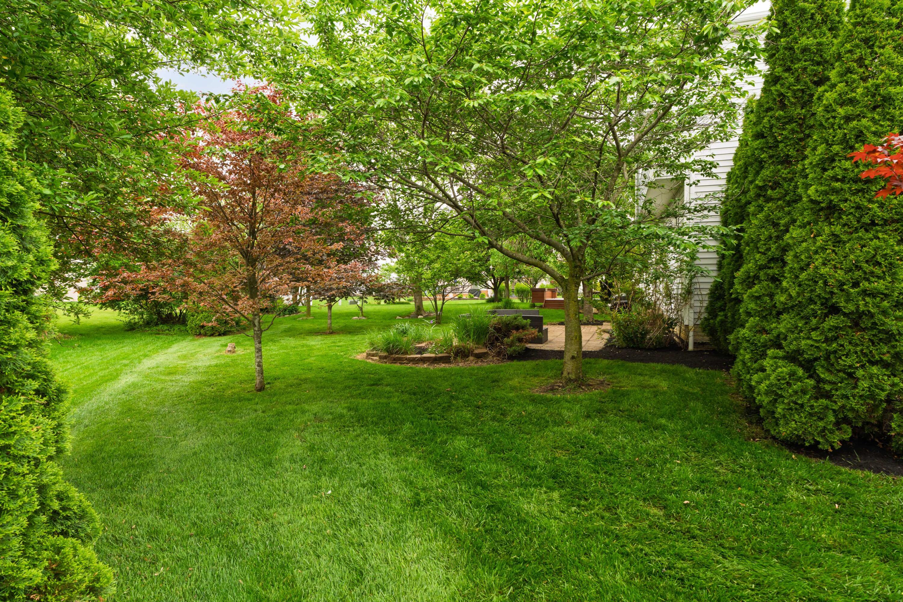 3941 Nordman Fir Drive