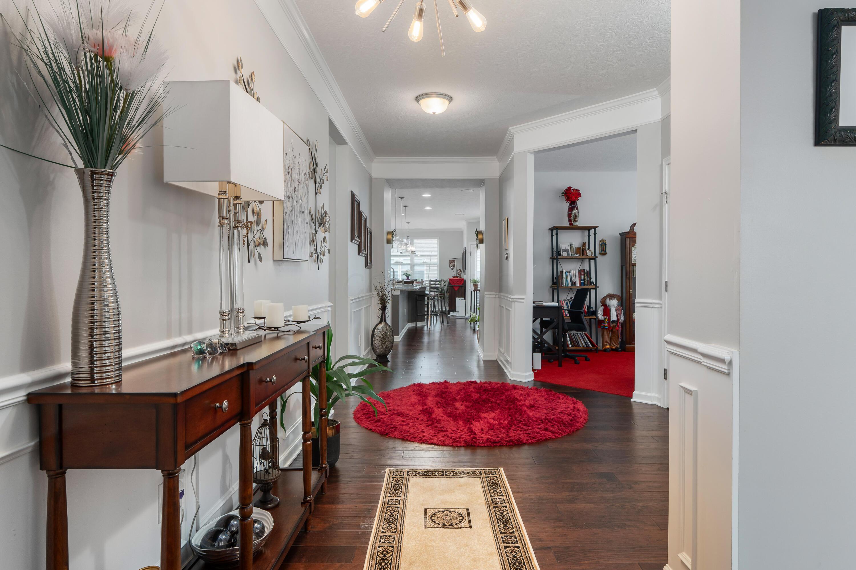 6674 Cat Singer Circle S