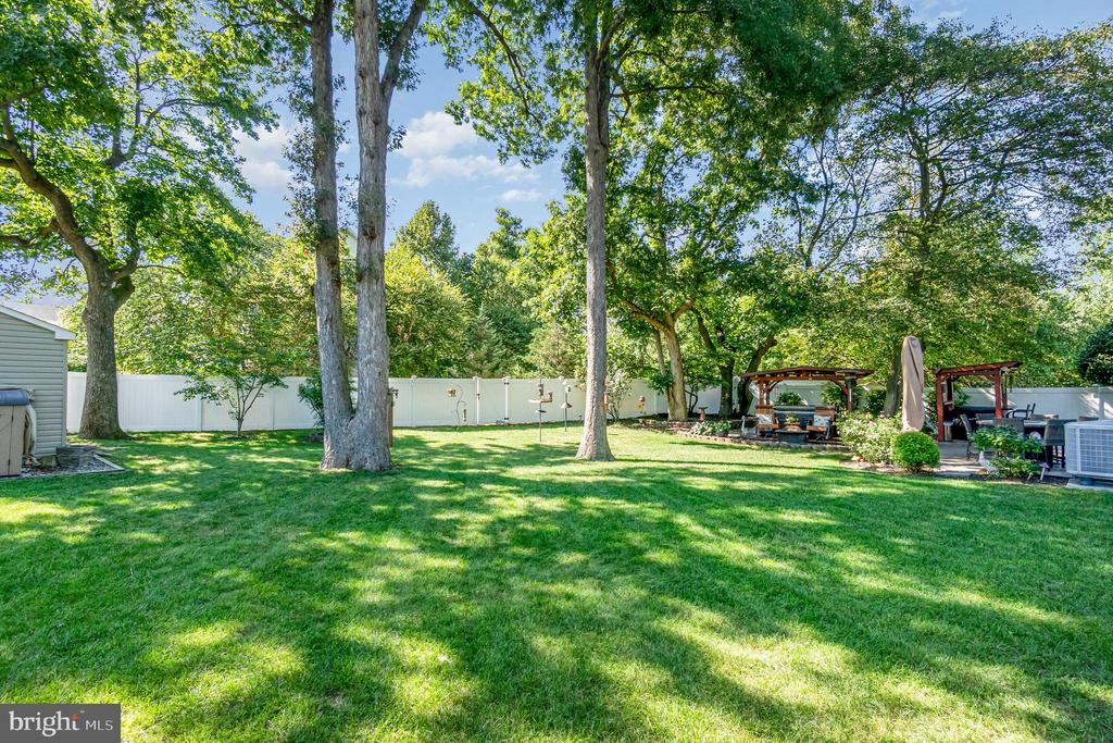 7900 SEVERN TREE BOULEVARD