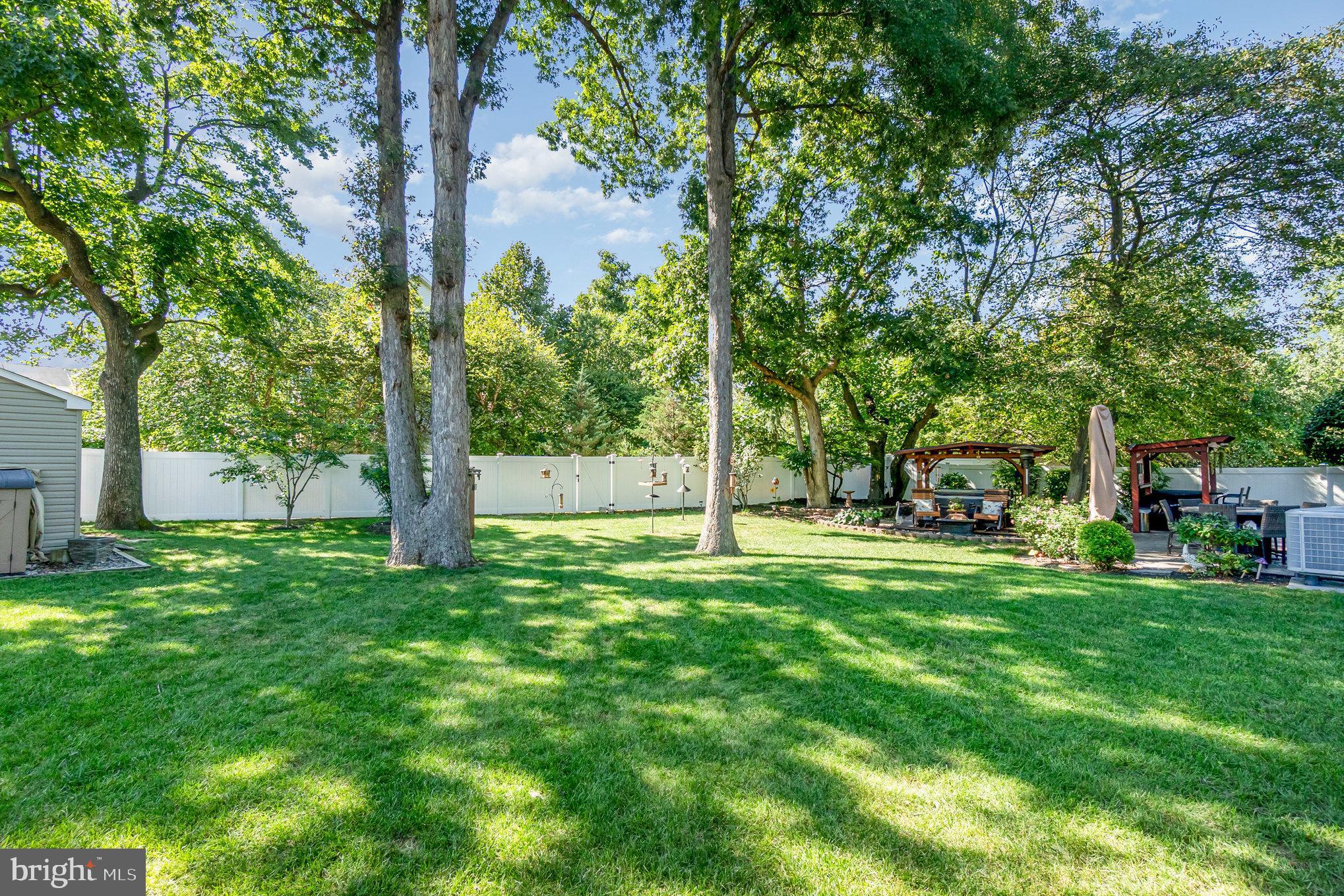 7900 SEVERN TREE BOULEVARD