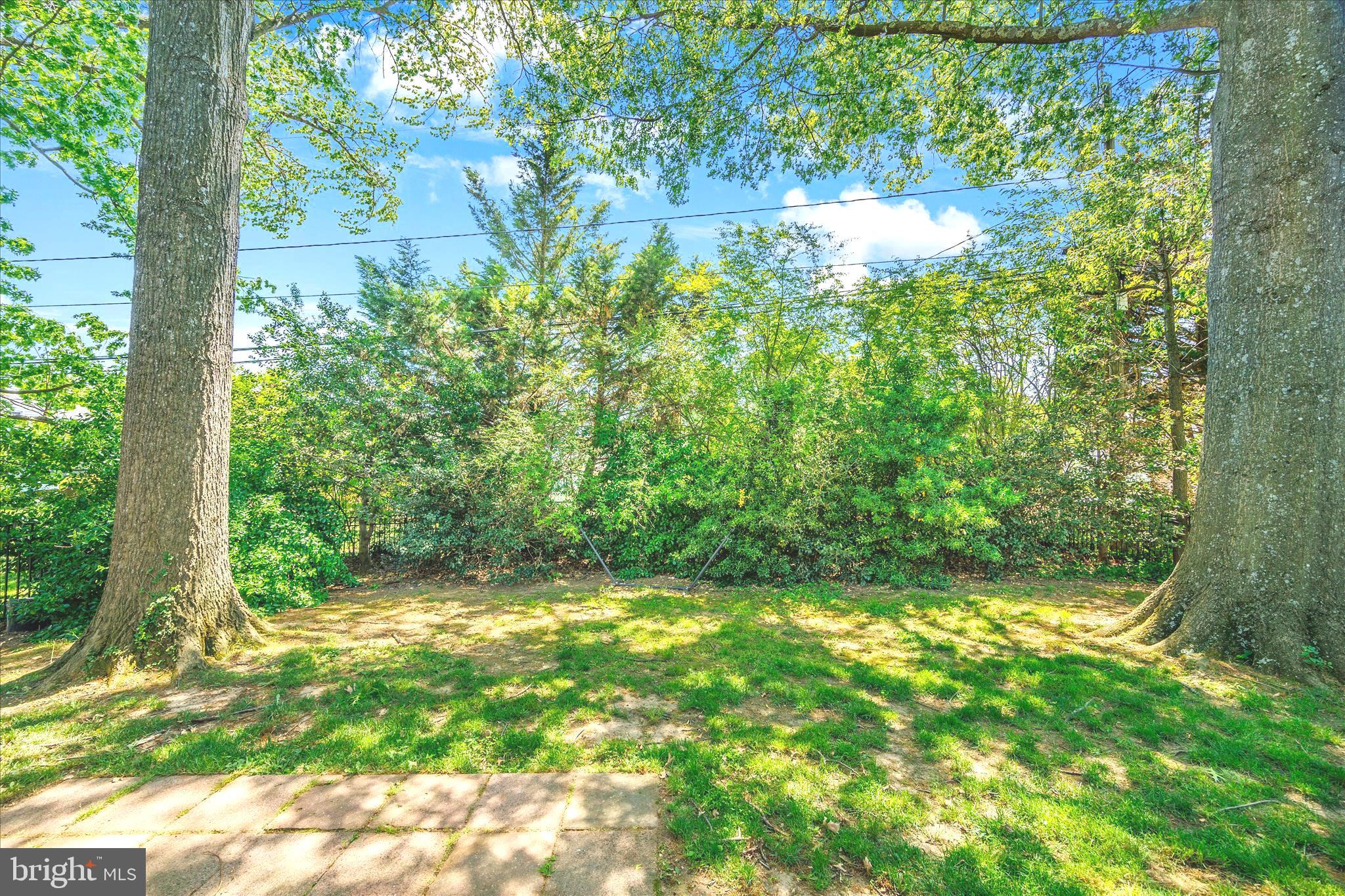 503 FOREST VIEW ROAD