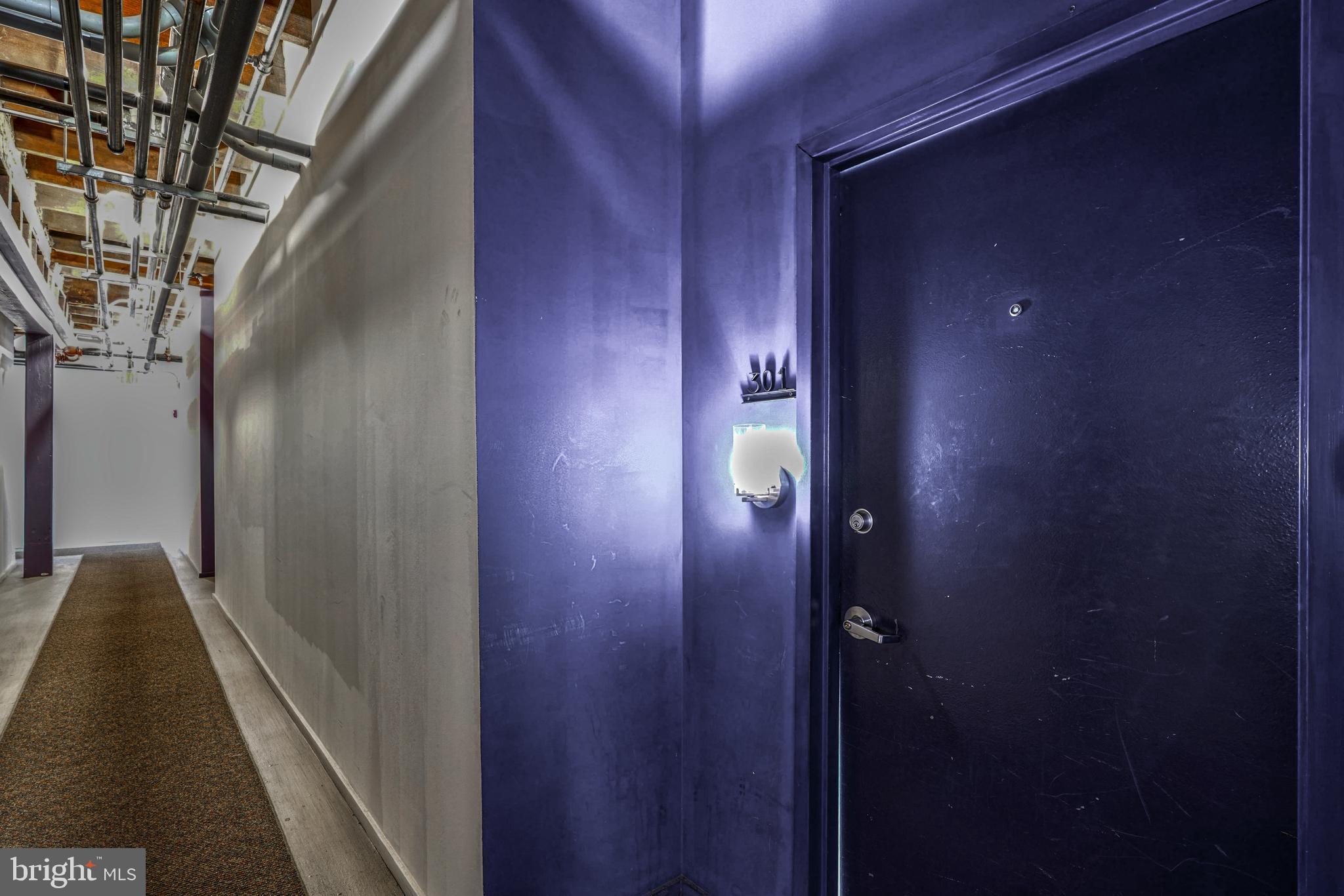 1000 S Charles STREET Unit: 301