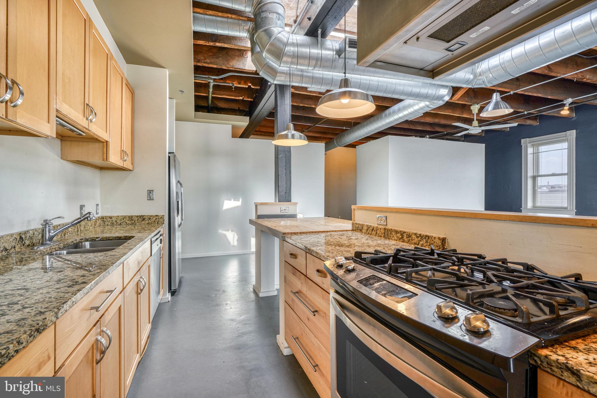 1000 S Charles STREET Unit: 301