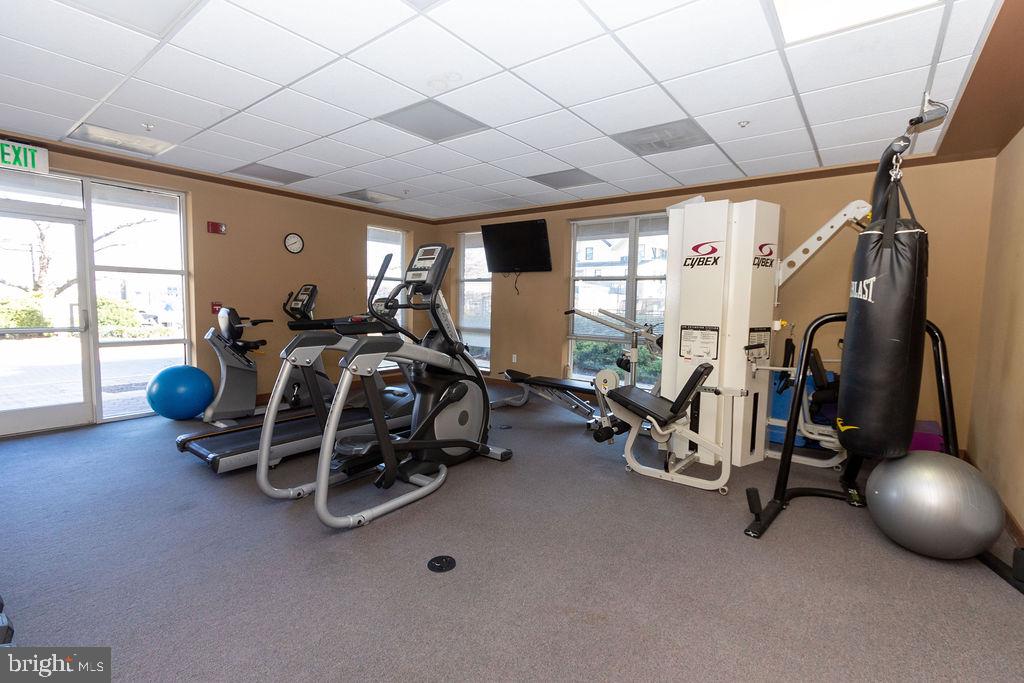 23 Pierside Dr #217