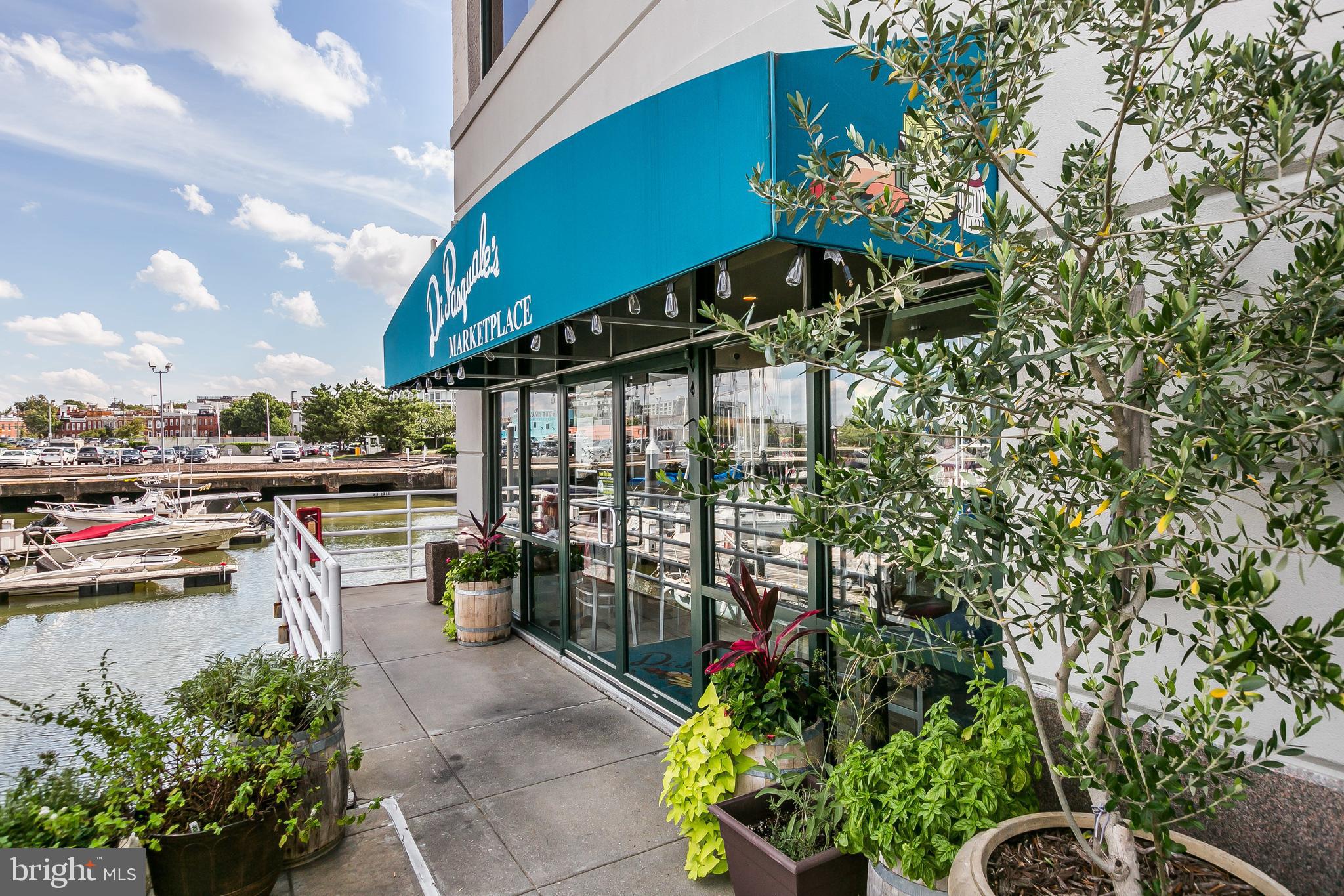 100 HARBORVIEW DR #1113