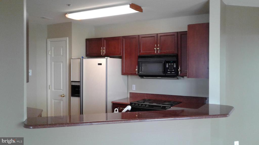100 HARBORVIEW DR #1113