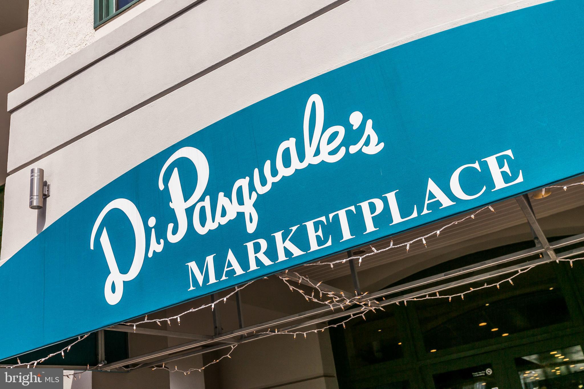 100 HARBORVIEW DR #1113