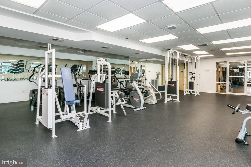 100 HARBORVIEW DR #1113