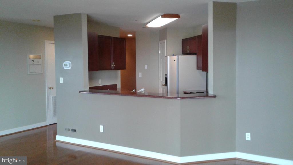 100 HARBORVIEW DR #1113