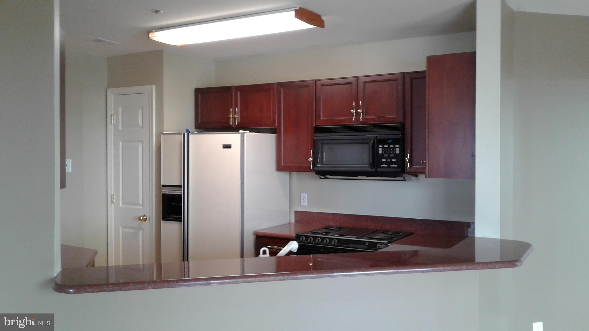 100 HARBORVIEW DR #1113