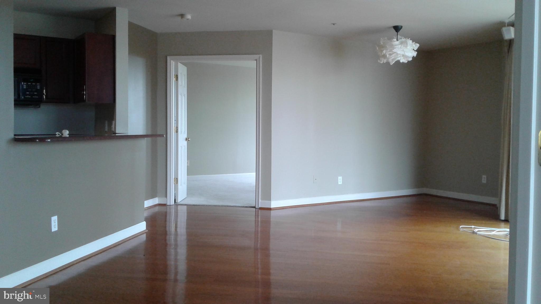 100 HARBORVIEW DR #1113