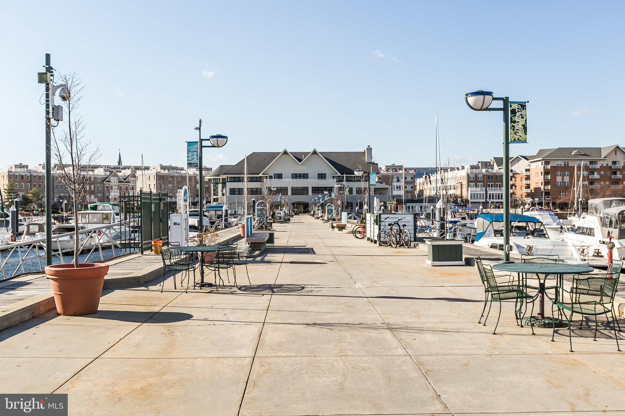 100 HARBORVIEW DR #1113