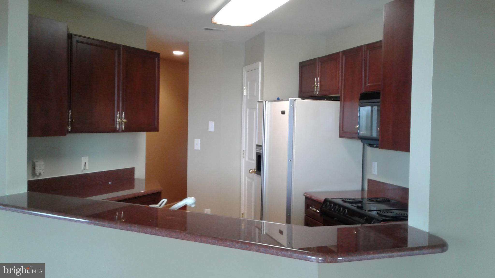 100 HARBORVIEW DR #1113