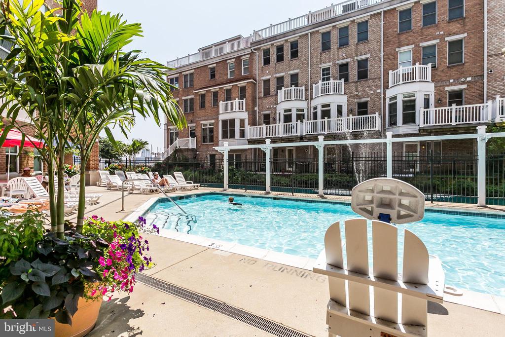 100 HARBORVIEW DR #1113