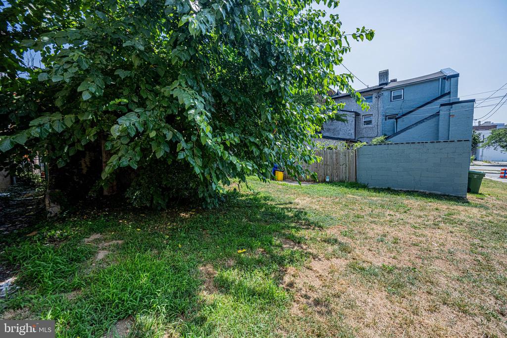 441 Orchard St