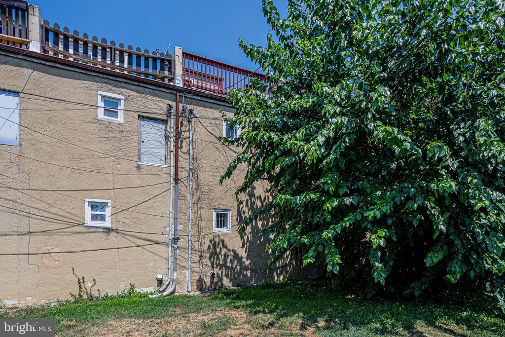441 Orchard St