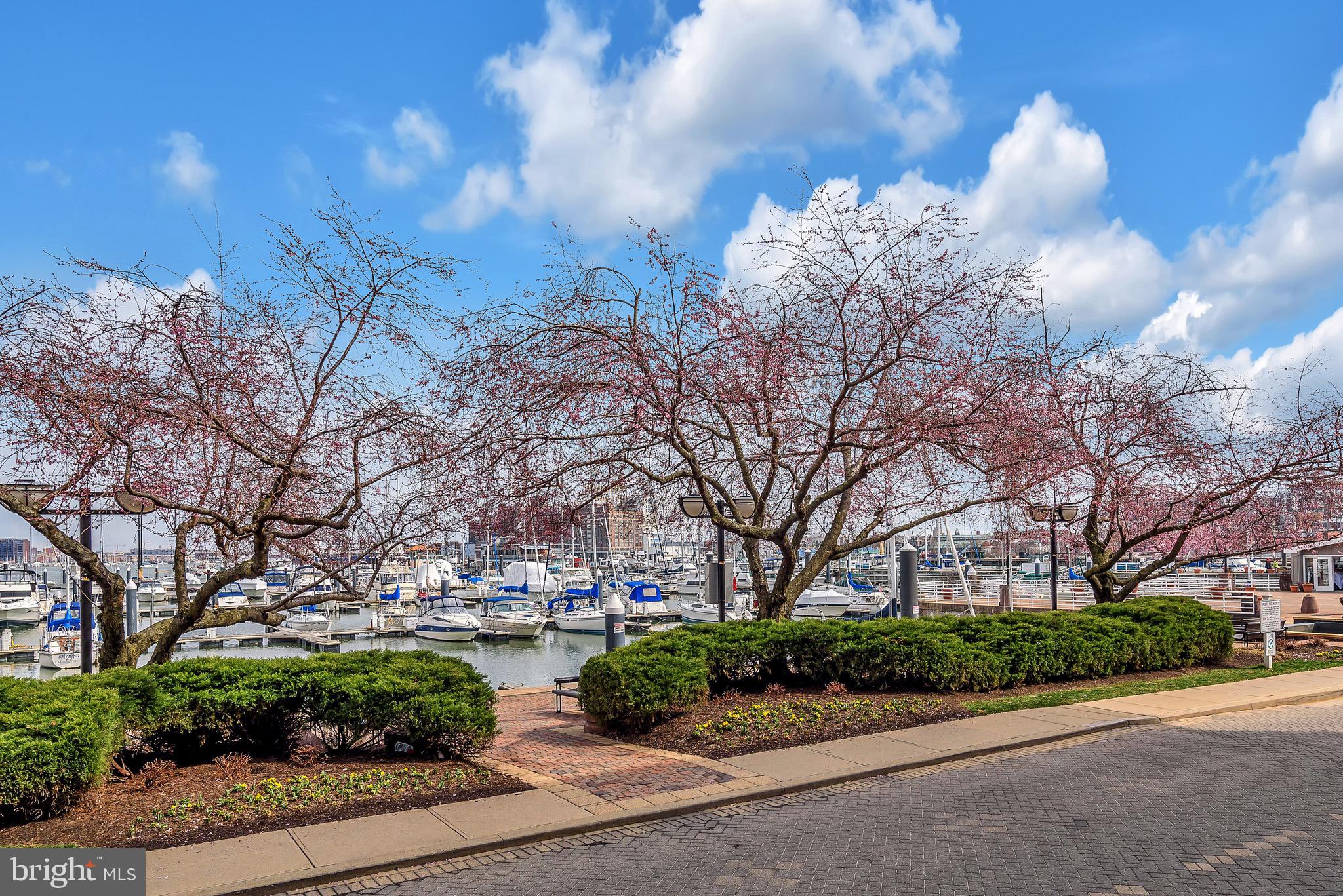 901 VALENCIA COURT 175