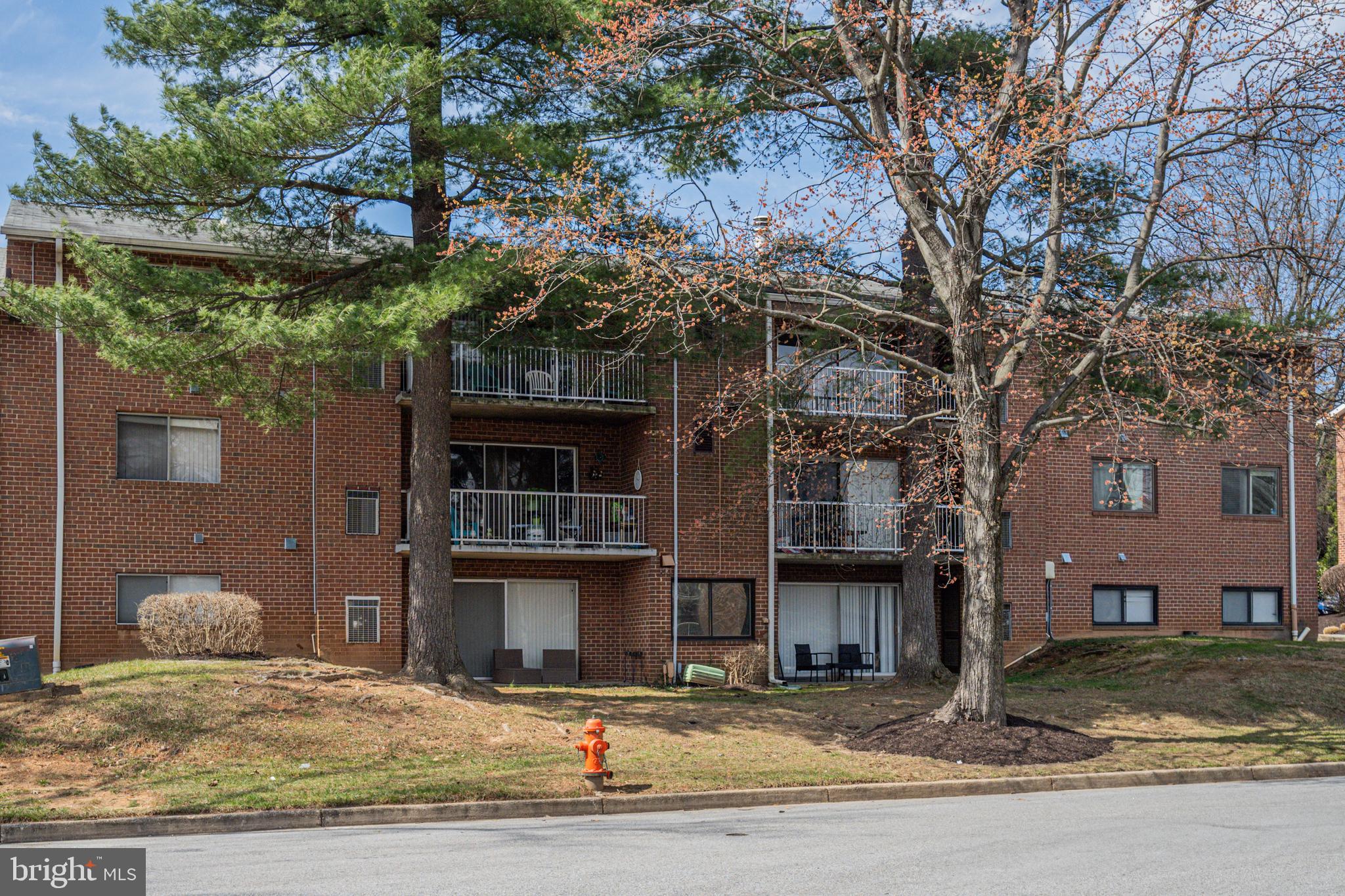 105 Fitz Ct #203