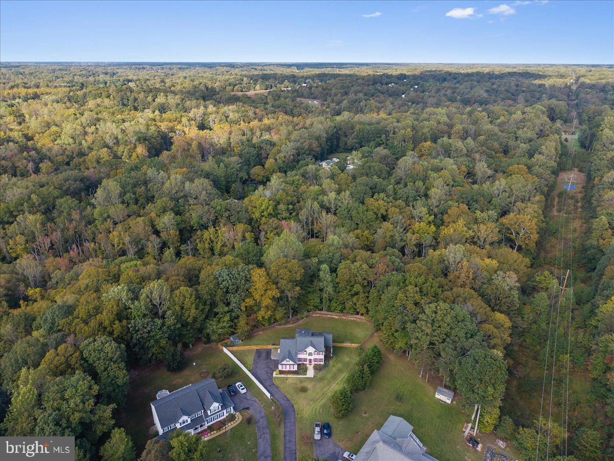 1730 PINKNEYS FIELD DRIVE