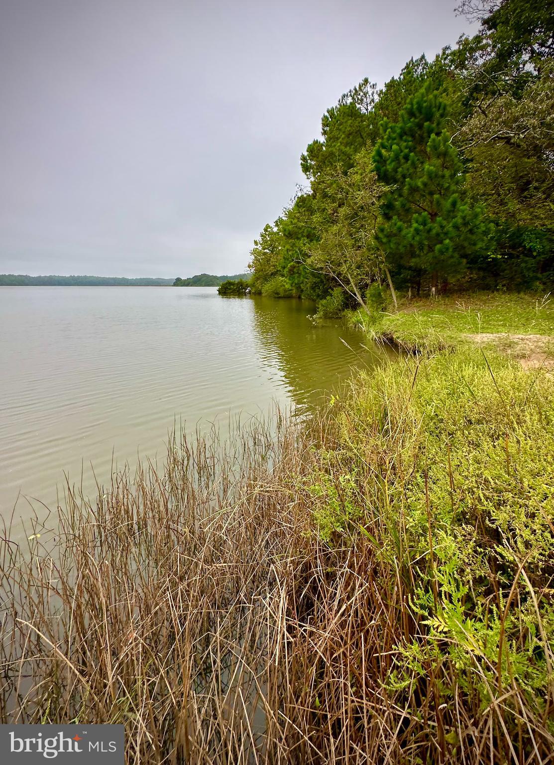 1730 PINKNEYS FIELD DRIVE