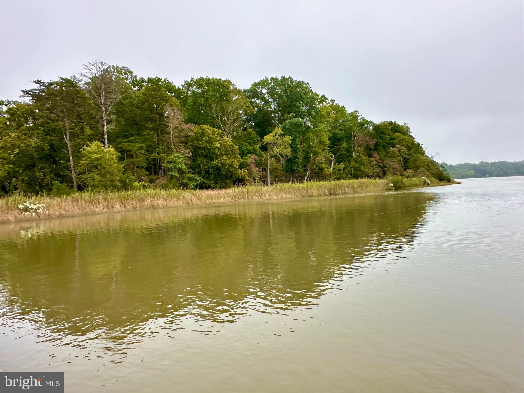 1730 PINKNEYS FIELD DRIVE