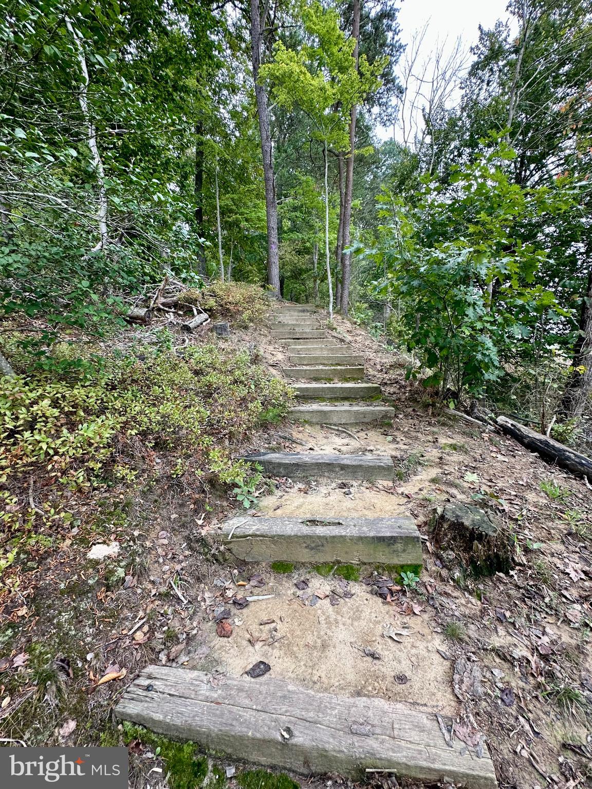 1730 PINKNEYS FIELD DRIVE