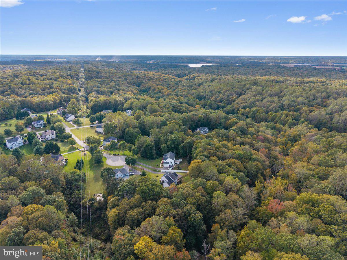 1730 PINKNEYS FIELD DRIVE