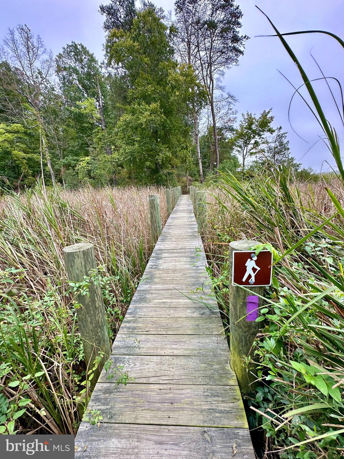 1730 PINKNEYS FIELD DRIVE