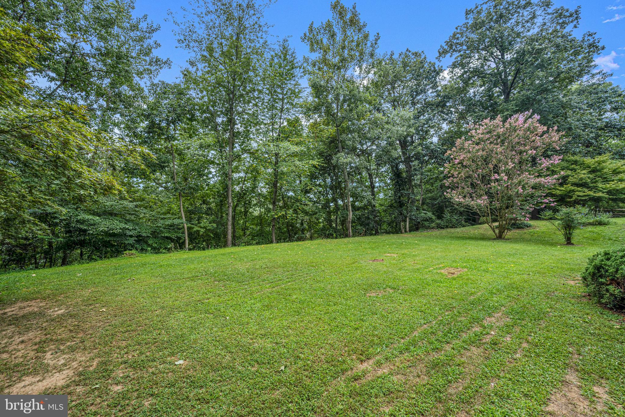 2862 COX RIDGE DRIVE