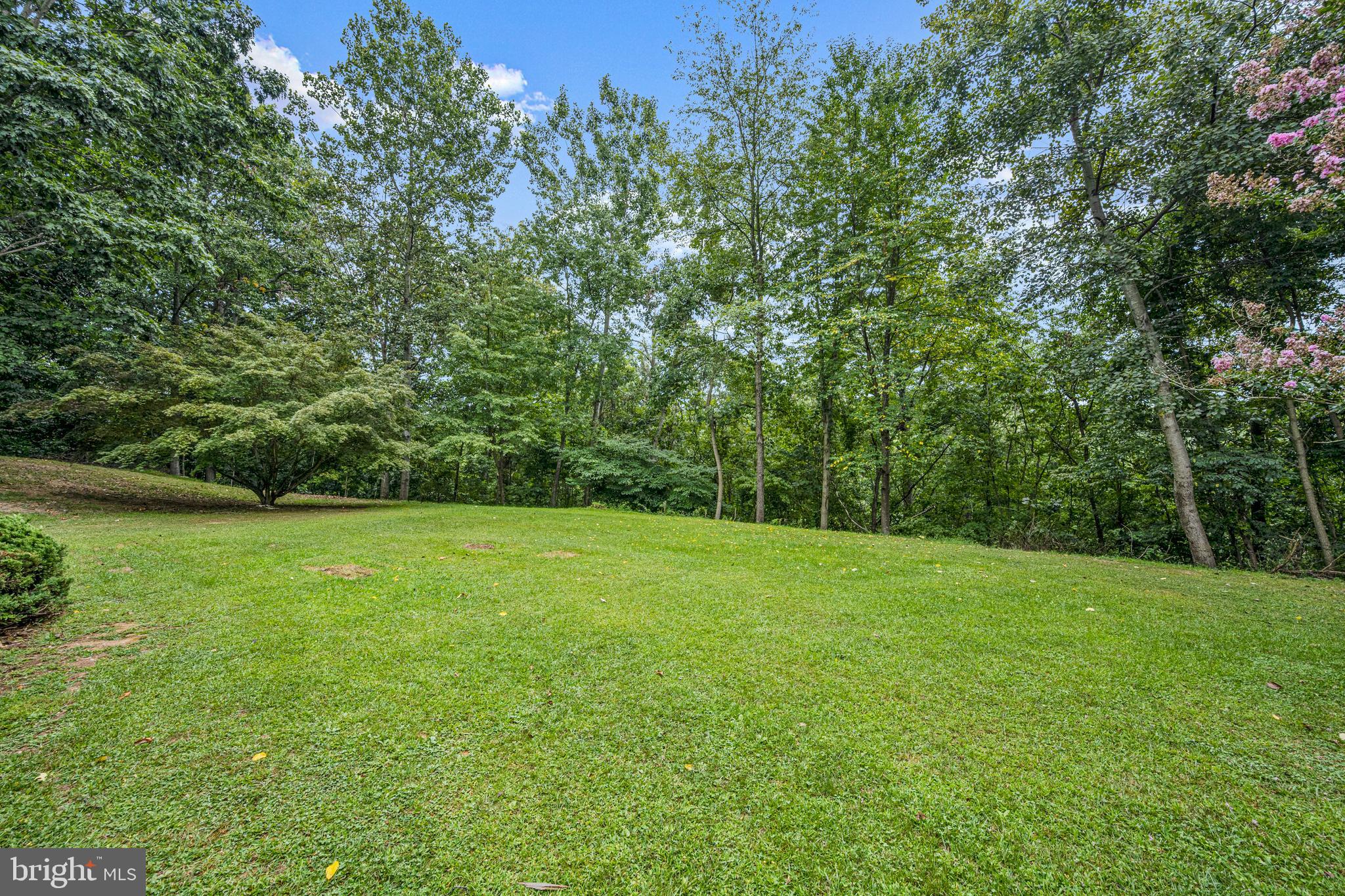 2862 COX RIDGE DRIVE