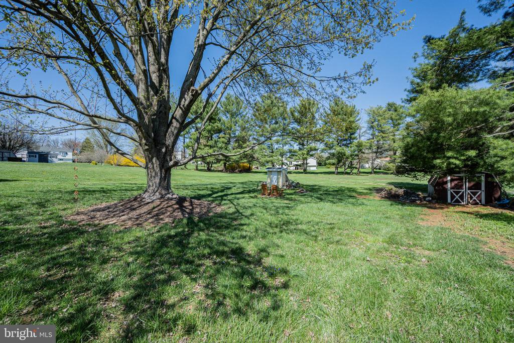195 Phillips Dr