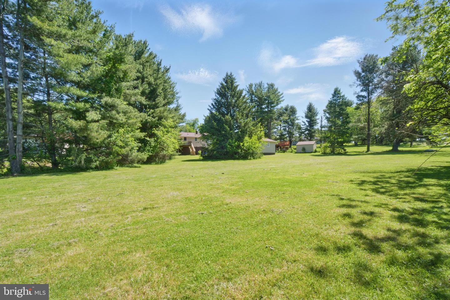 4202 Wolf Ct