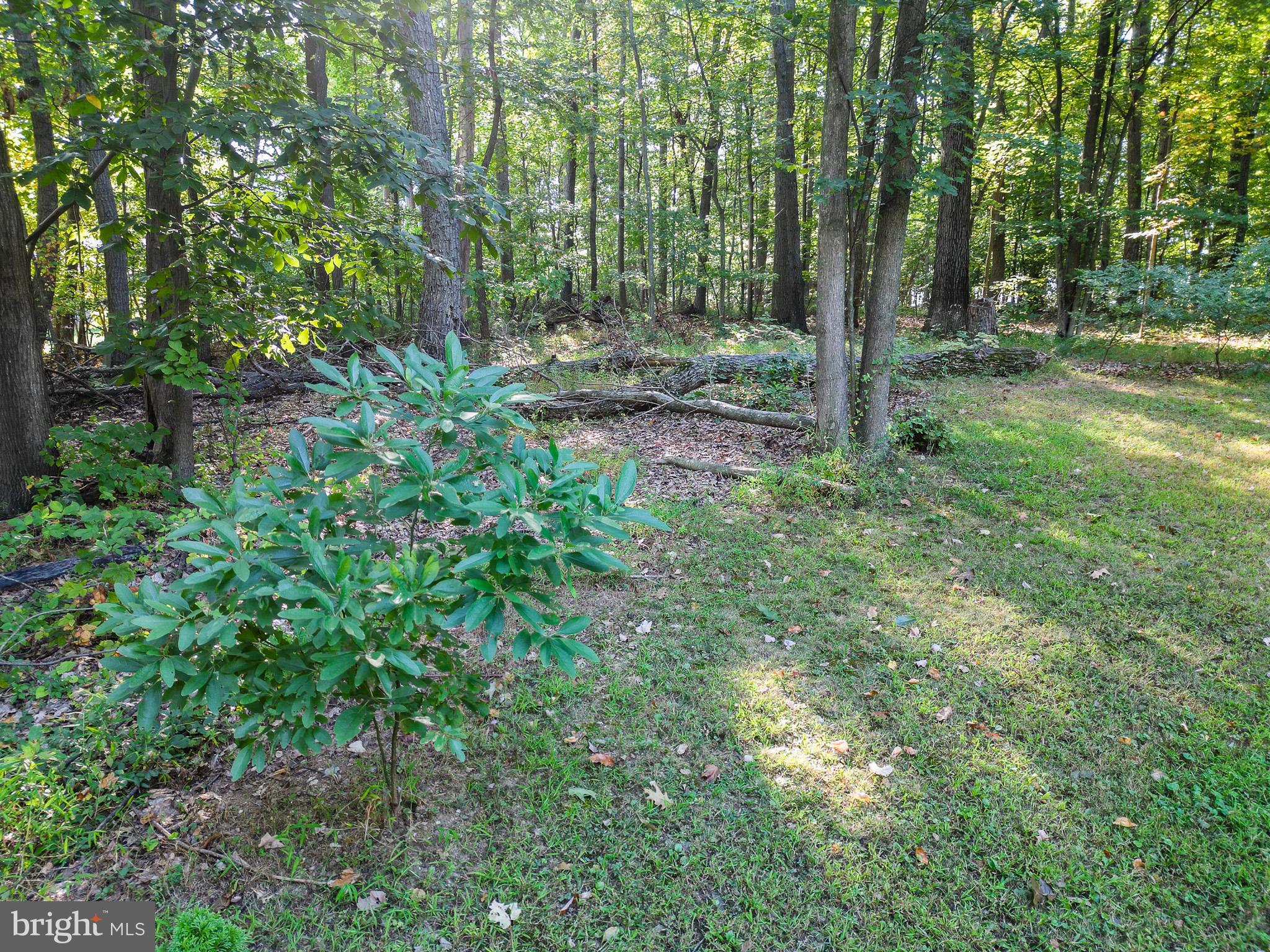 3319 MAIL ROAD