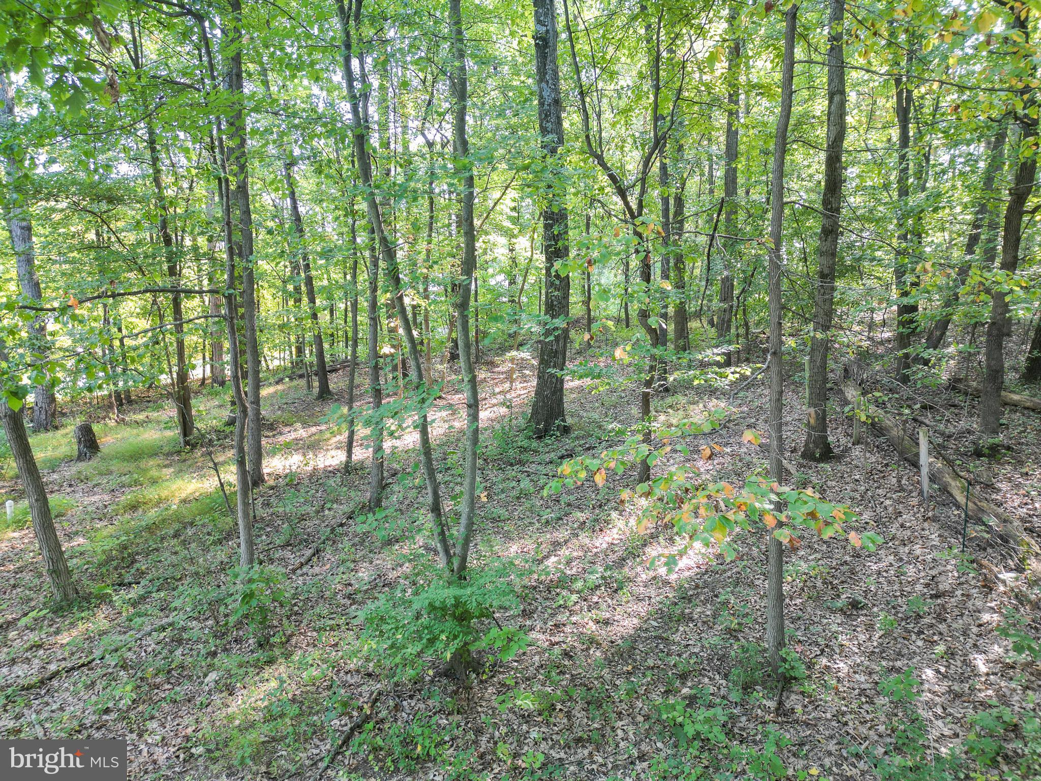 3319 MAIL ROAD