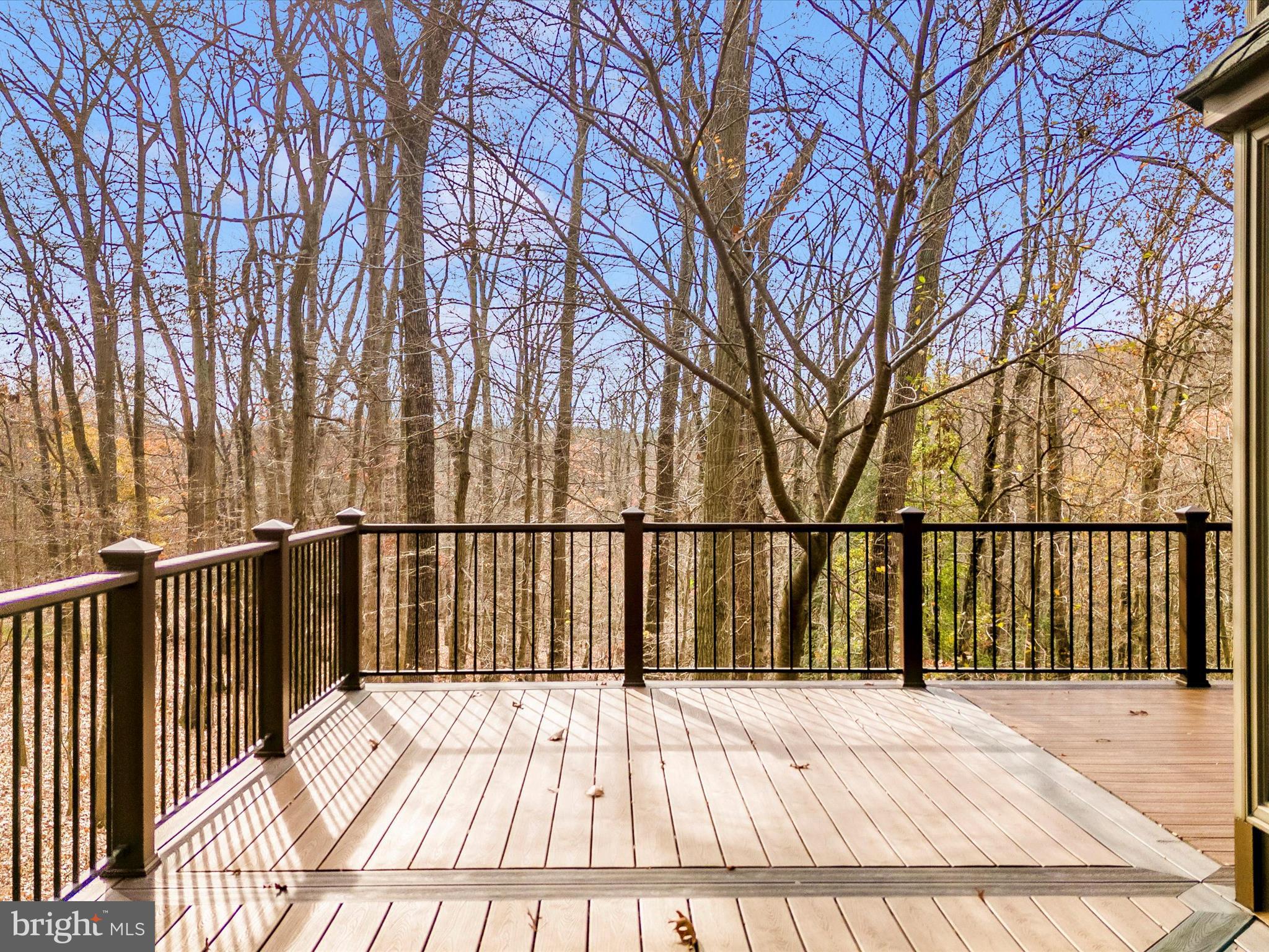 15400 Black Ankle Rd