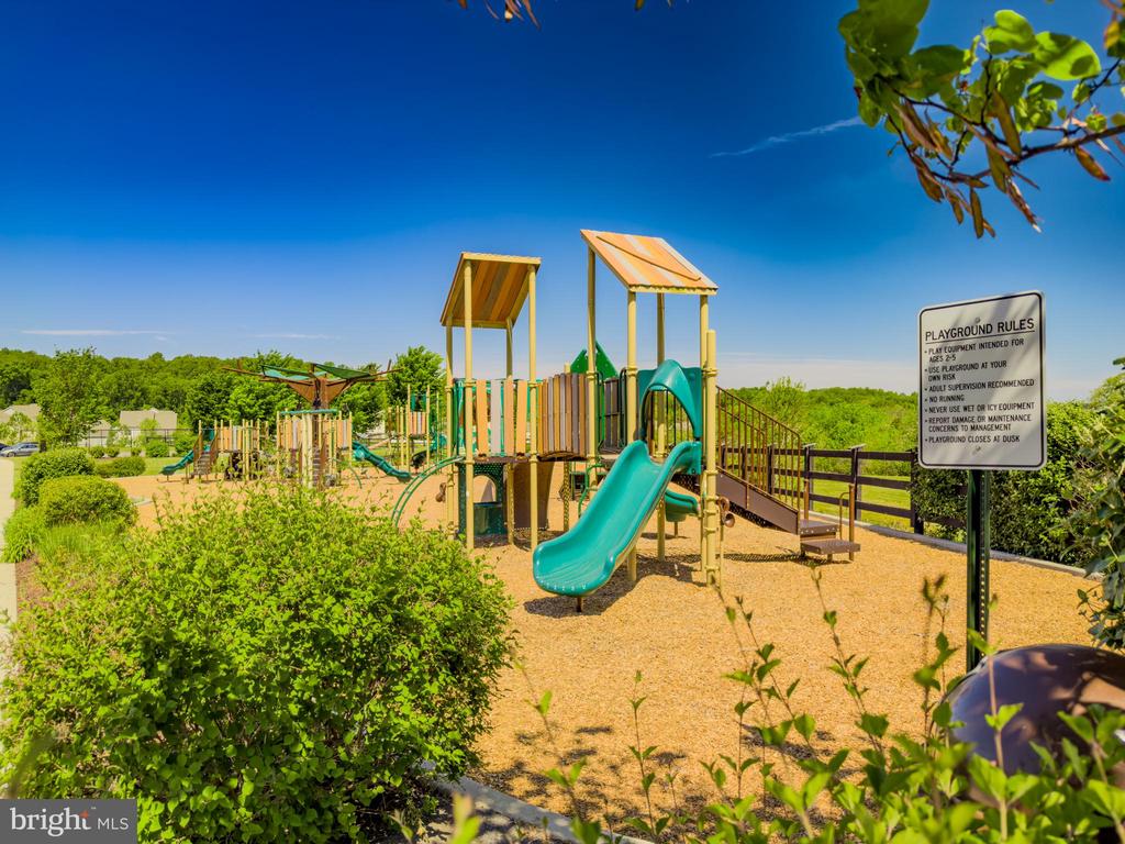 11058 EMERALD CROWN DRIVE