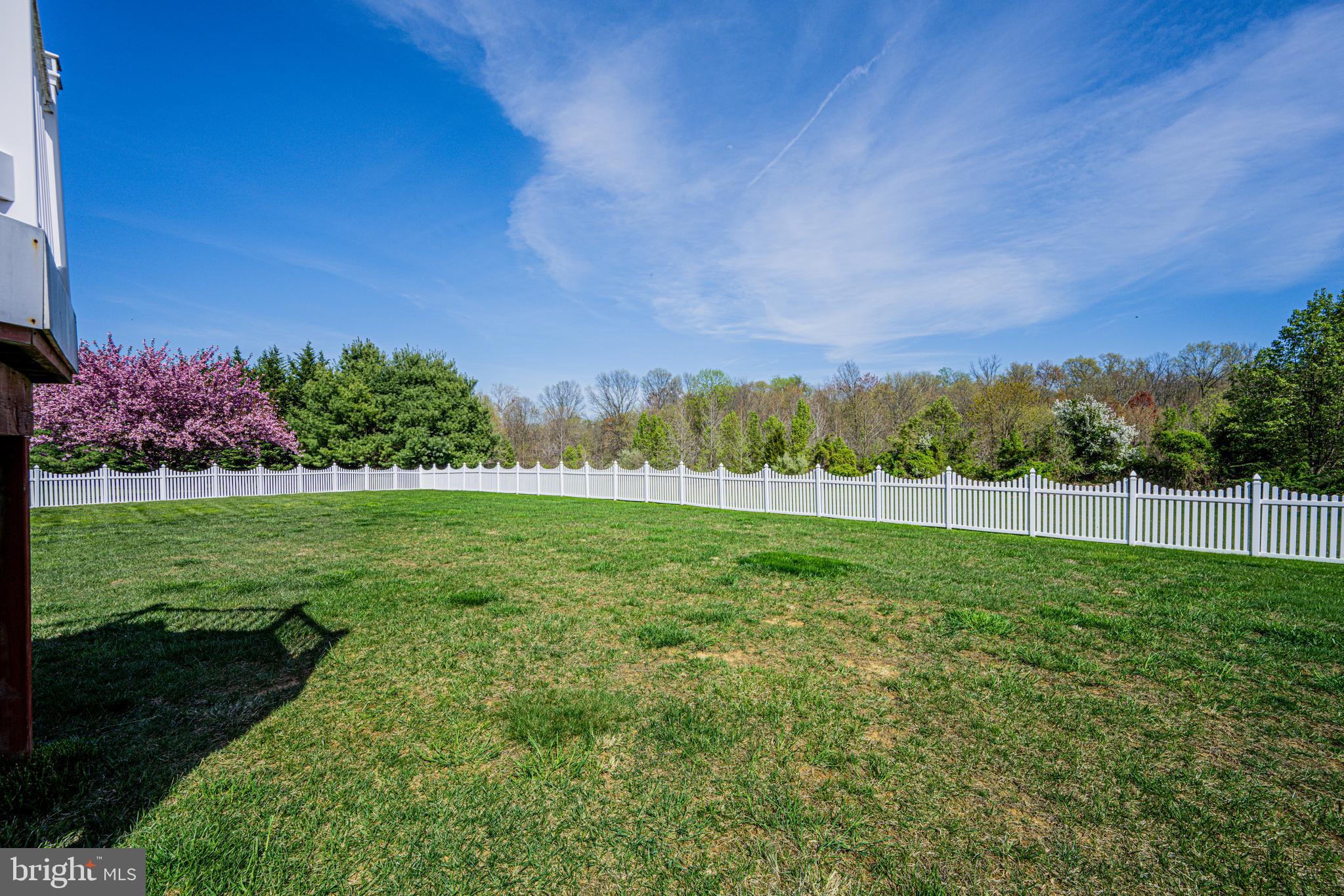 207 Holstein Ct