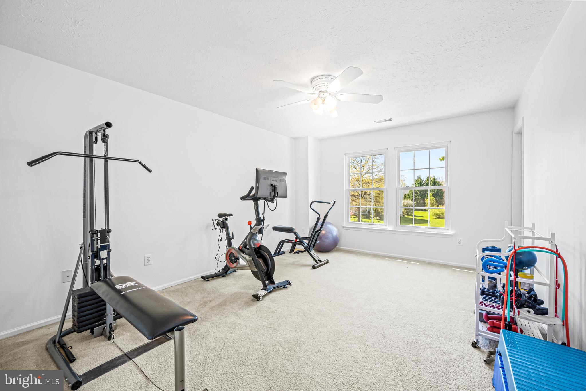 207 Holstein Ct
