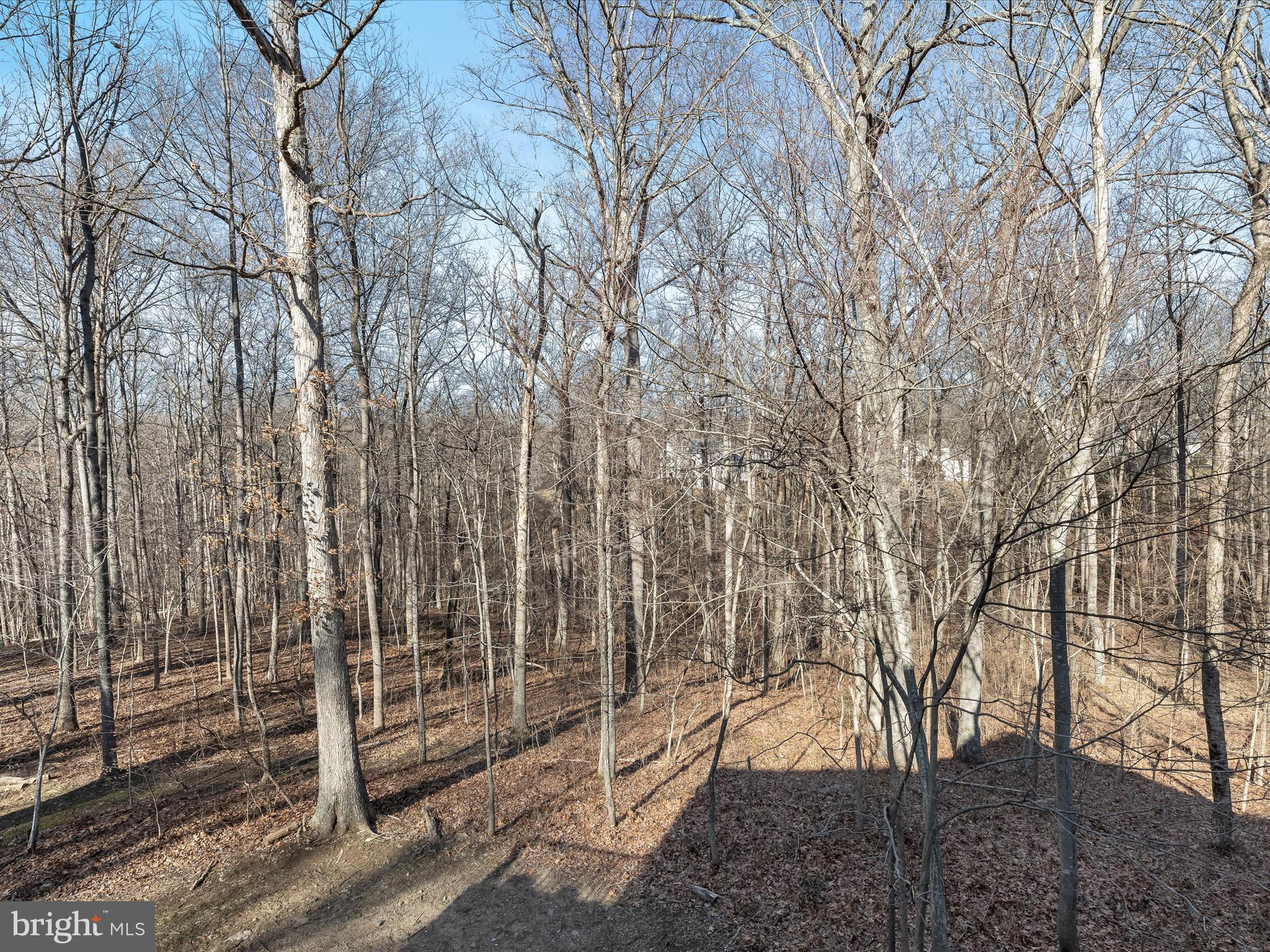 14610 Triadelphia Mill Rd