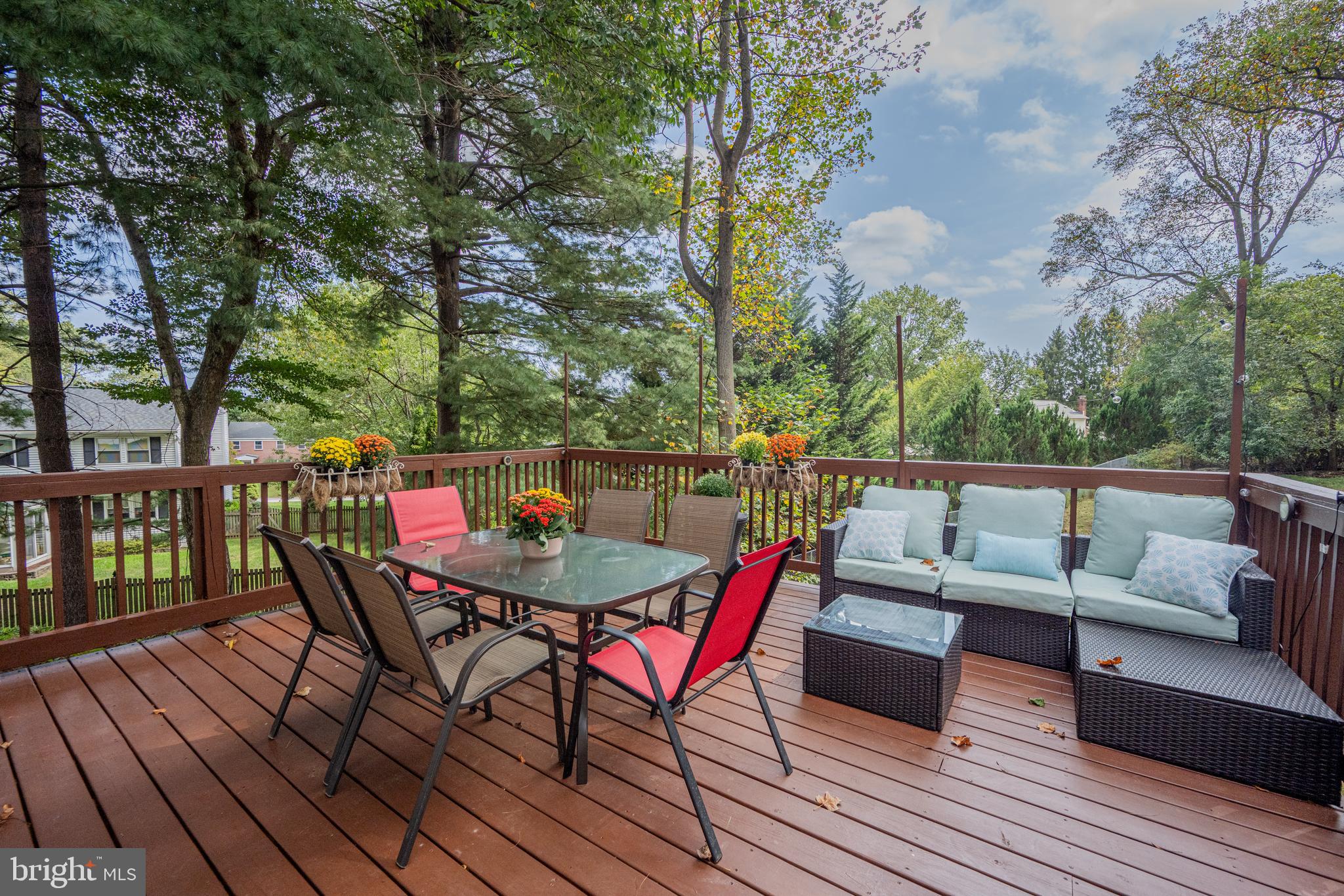 10035 TANYA COURT