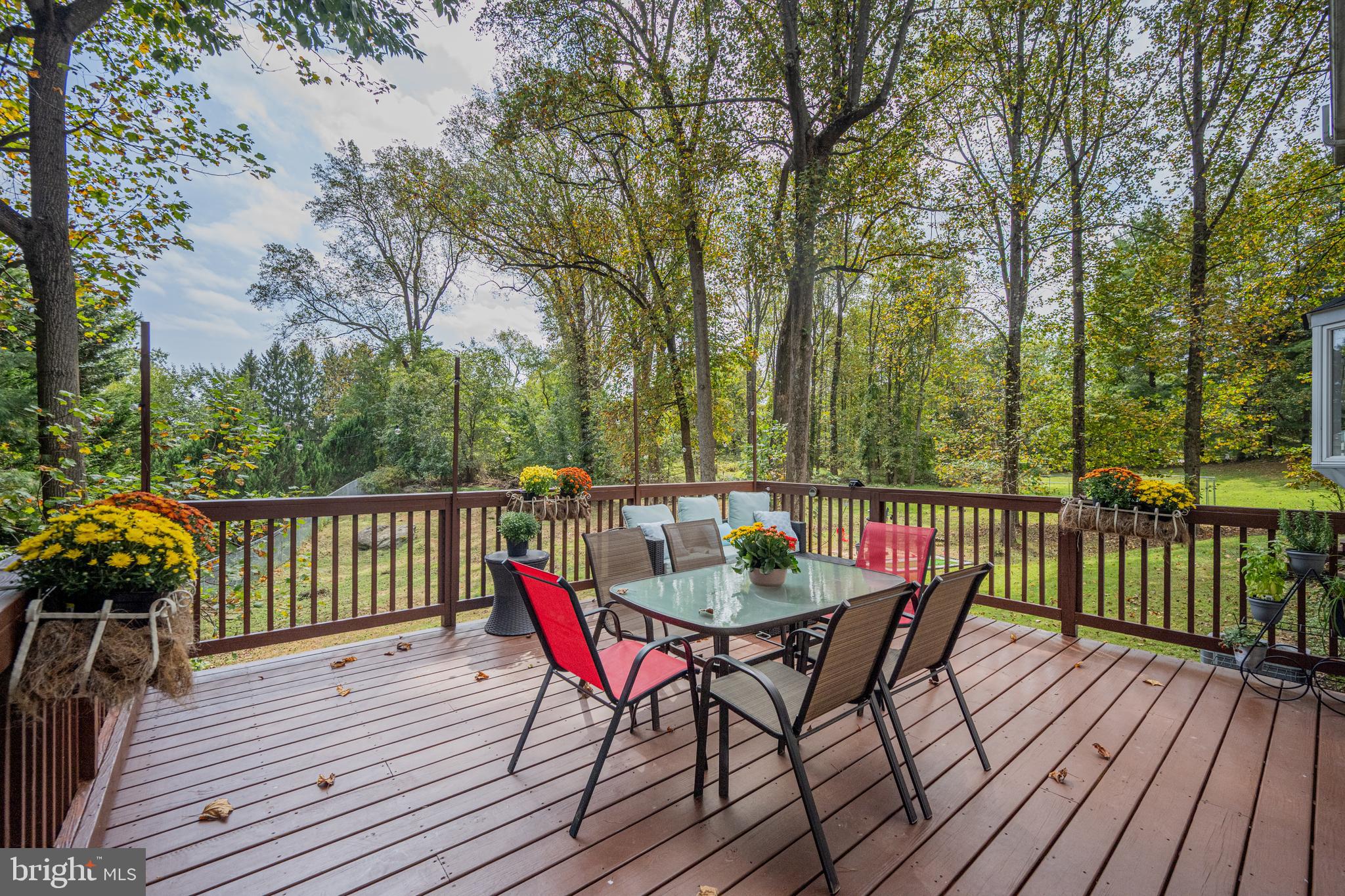 10035 TANYA COURT