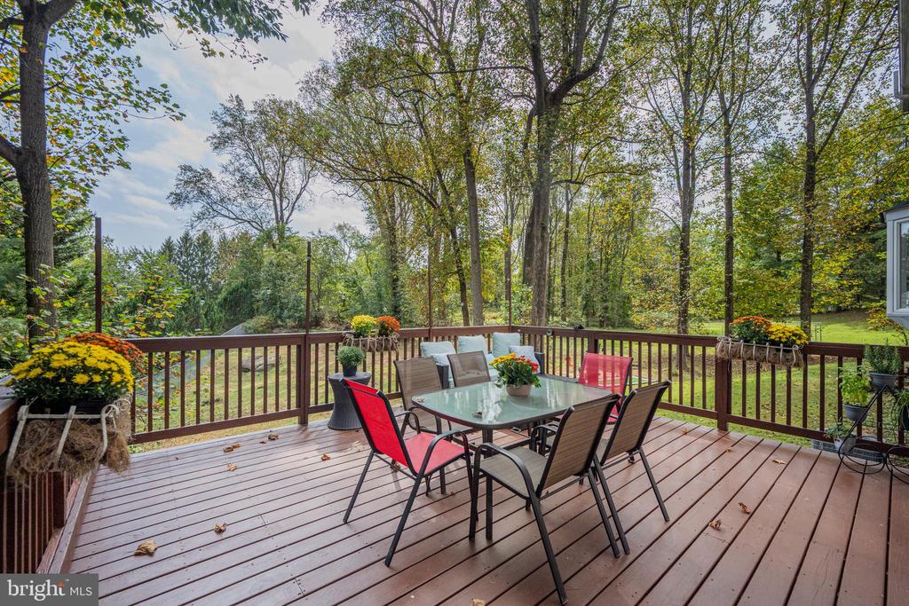 10035 TANYA COURT