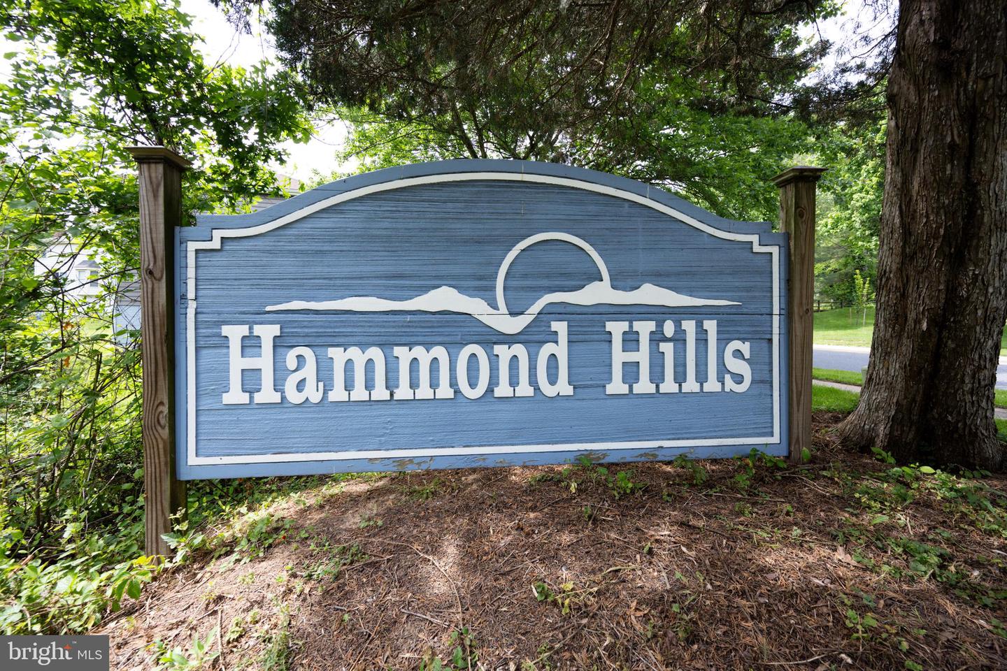 10902 Hammond Dr