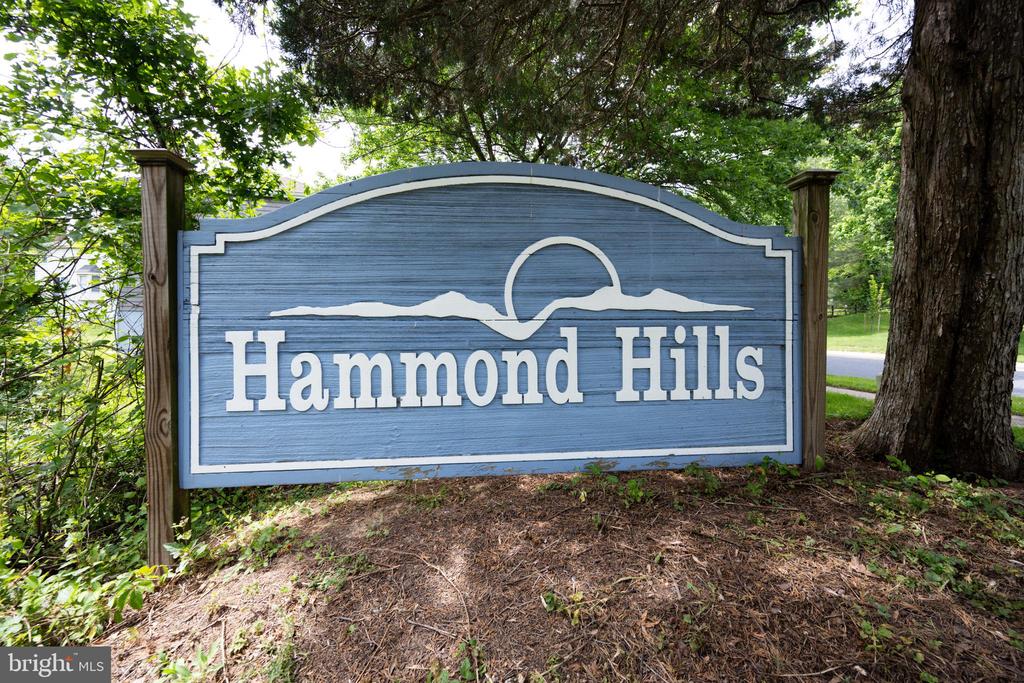 10902 Hammond Dr