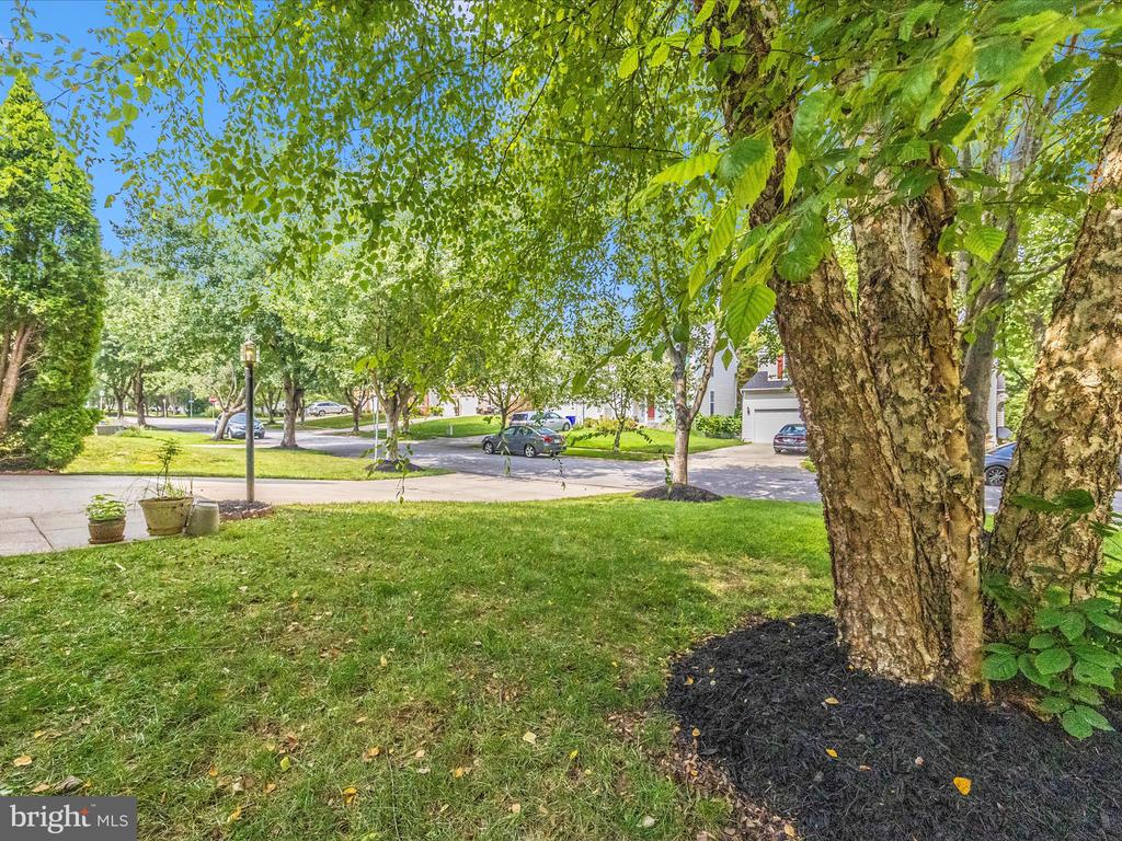 5812 WHITE PEBBLE PATH