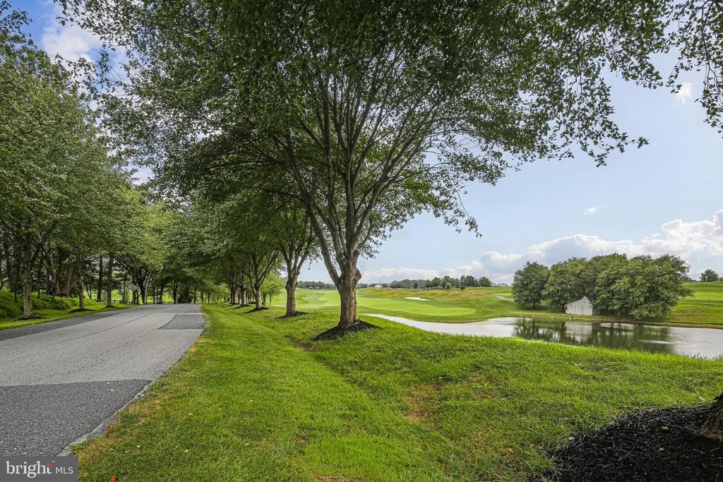 3651 BROADLEAF COURT
