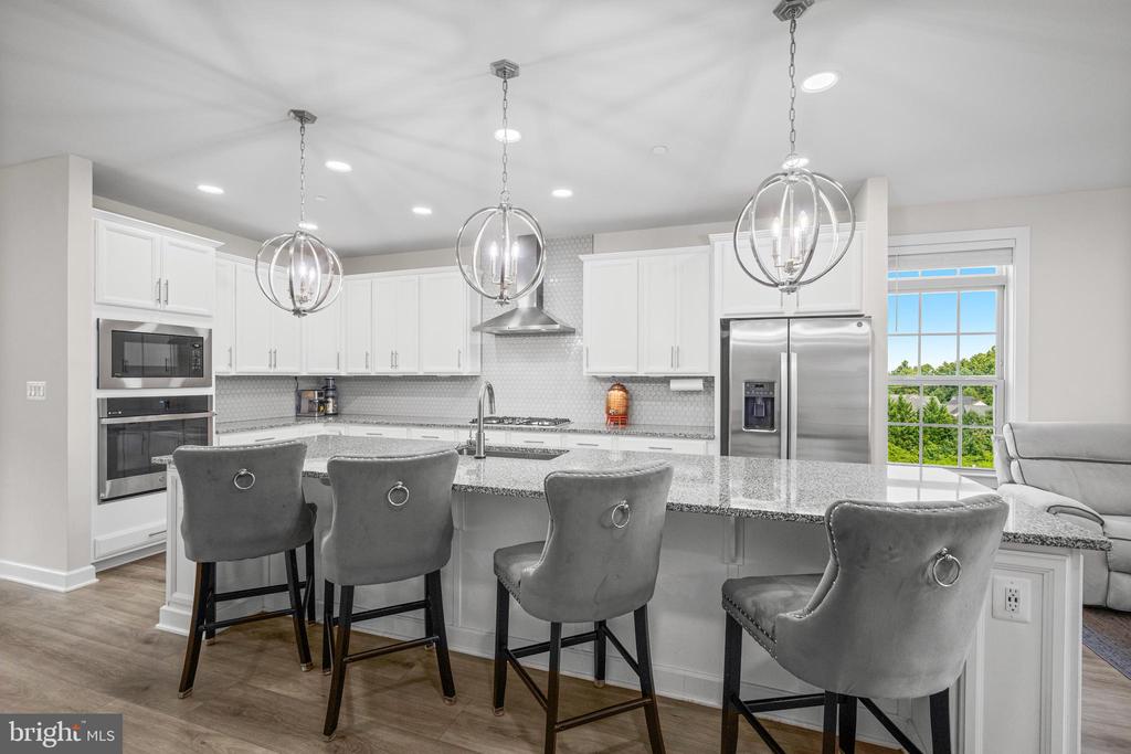 3923 COOKS LANE